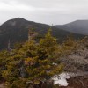 Liberty from the summit of Flume.