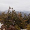 Views of Twin Range from Flume.
