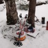 Our frozen beers.