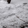 Our couch left some interesting texture on the snow.  3 butt prints were pretty obvious too. :)