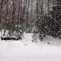 The bushwhack took us to Franconia Brook, a little lower than the usual 