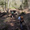 Black Pond Trail.