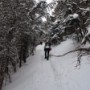 Wildcat Ridge Trail.
