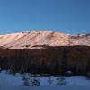 Gorgeous morning sun.