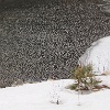 Ripples on the river.