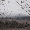 No views today.