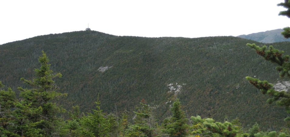 IMG_1096_pan