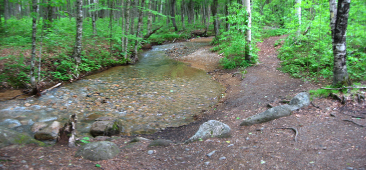 IMG_7452_STA_pan